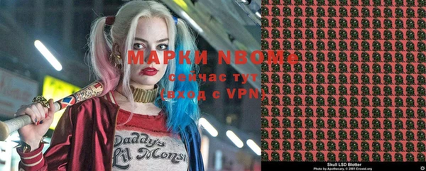 ПСИЛОЦИБИНОВЫЕ ГРИБЫ Абаза