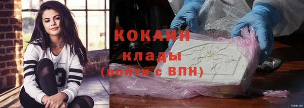 ПСИЛОЦИБИНОВЫЕ ГРИБЫ Абаза