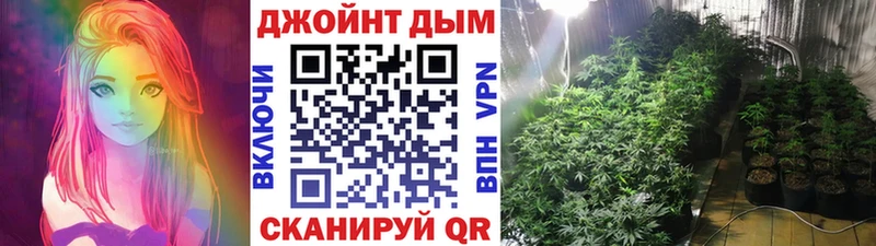 Бошки Шишки план  Сусуман 
